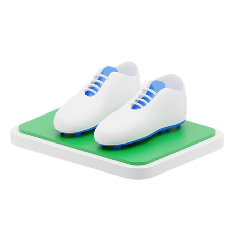 Football shoes 3D Illustration
