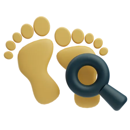 Footprint Investigation