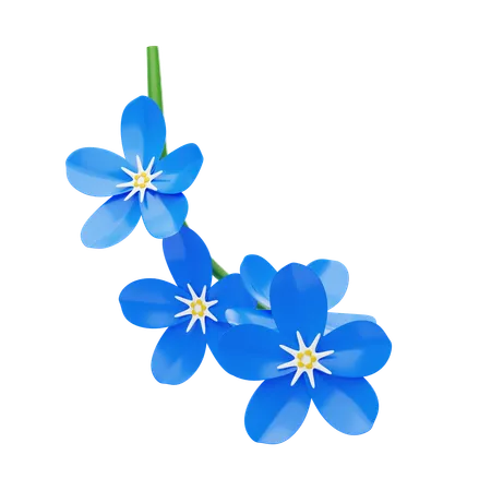 Forget-Me-Not  3D Icon