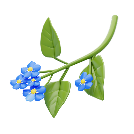 Forget-Me-Not  3D Icon