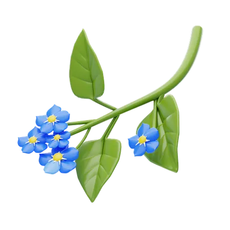 Forget-Me-Not  3D Icon