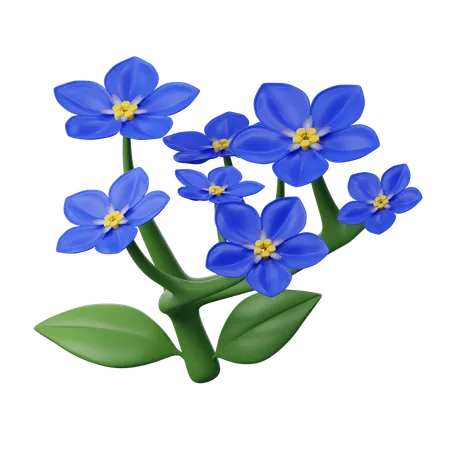 Forget Me Not Flower  3D Icon