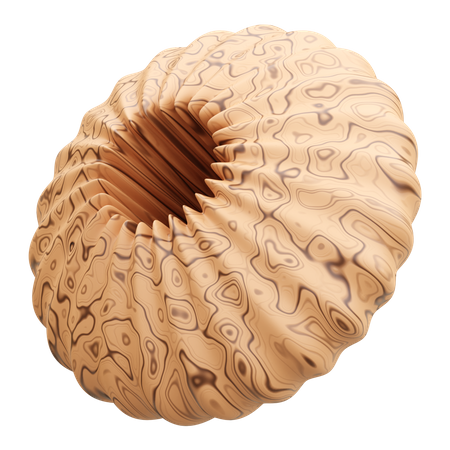 Forme abstraite d'anneau  3D Icon