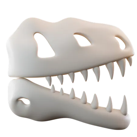 Fossil  3D Icon