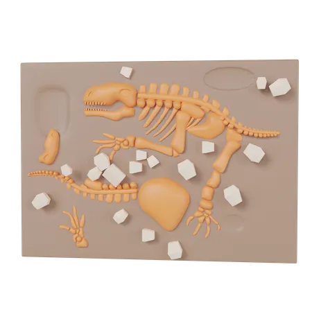 Fóssil do deserto  3D Icon