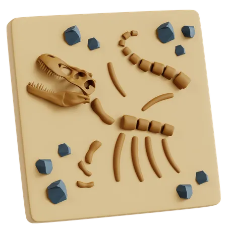 Fossile de dinosaure  3D Icon