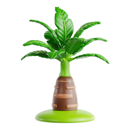 Foxtail Palm  3D Icon