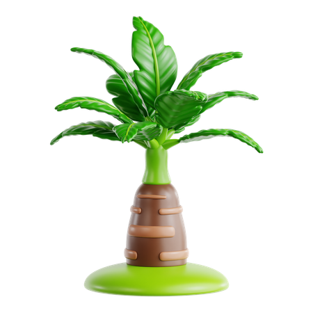 Foxtail Palm  3D Icon