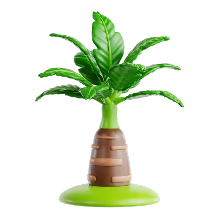 Foxtail Palm  3D Icon