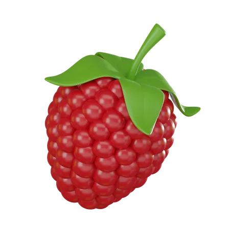 Framboise  3D Icon