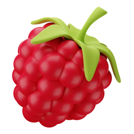 Framboise  3D Icon