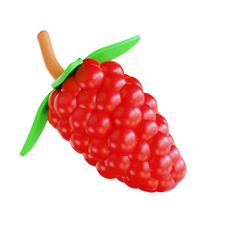 Framboise  3D Icon