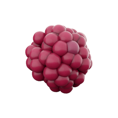 Framboise  3D Icon