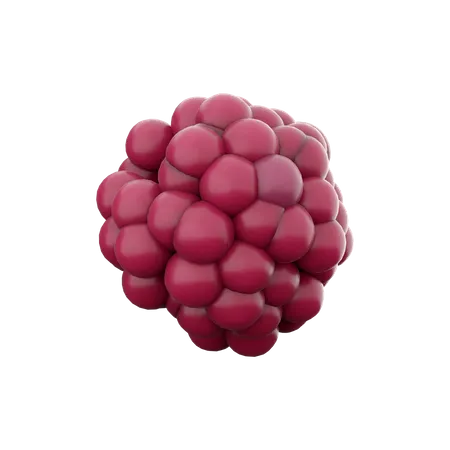 Framboise  3D Icon