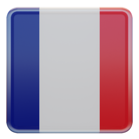 France Flag  3D Flag