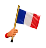 France Flag