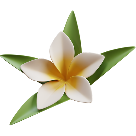 Frangipani  3D Icon