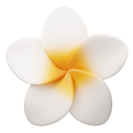 Frangipani-Blume  3D Icon