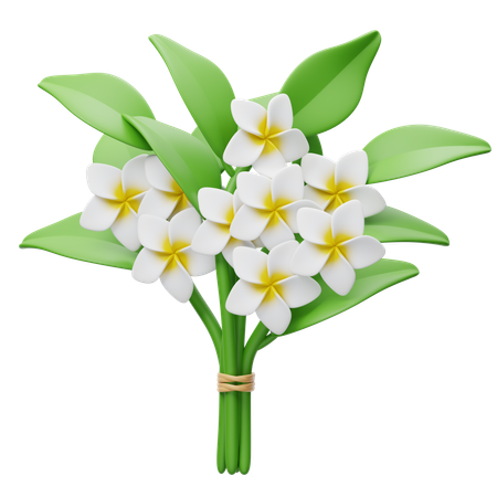 Frangipani Bouquet  3D Icon