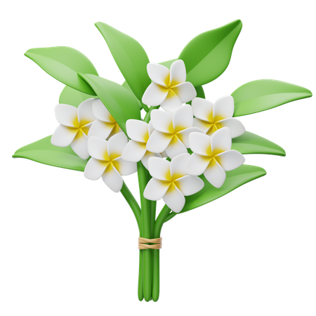 Frangipani Bouquet  3D Icon