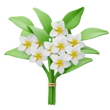 Frangipani Bouquet  3D Icon