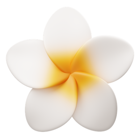 Frangipani Flower  3D Icon
