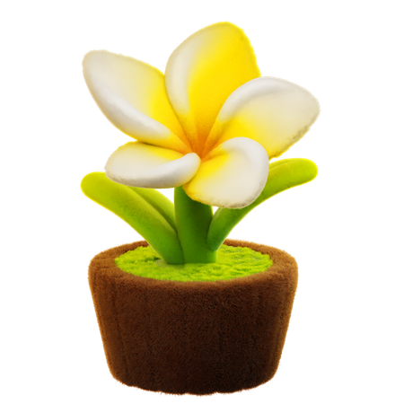 Frangipani Flower  3D Icon