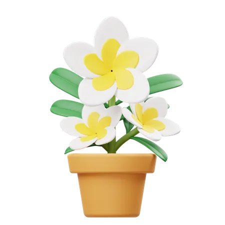 Frangipani Flower Pot  3D Icon