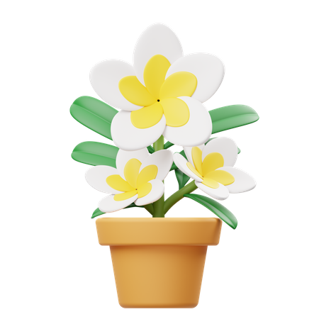 Maceta Frangipani  3D Icon