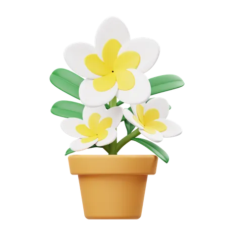 Maceta Frangipani  3D Icon