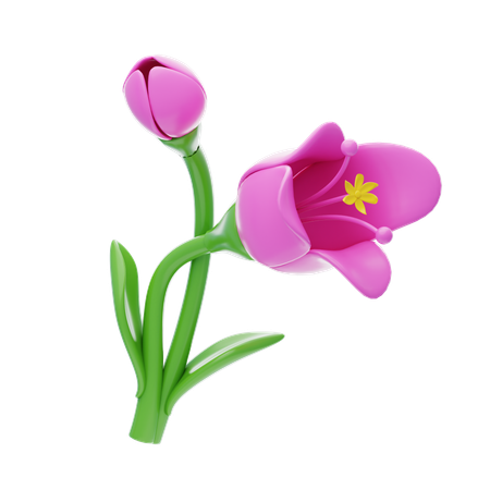 Freesia  3D Icon