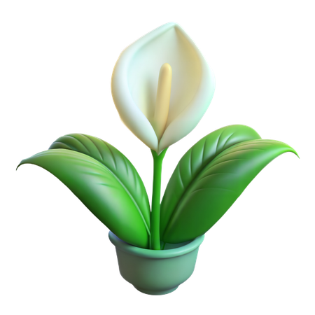 Friedenslilie Pflanze  3D Icon