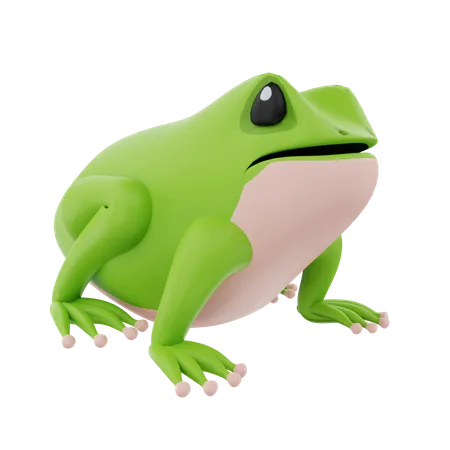 Frog  3D Icon