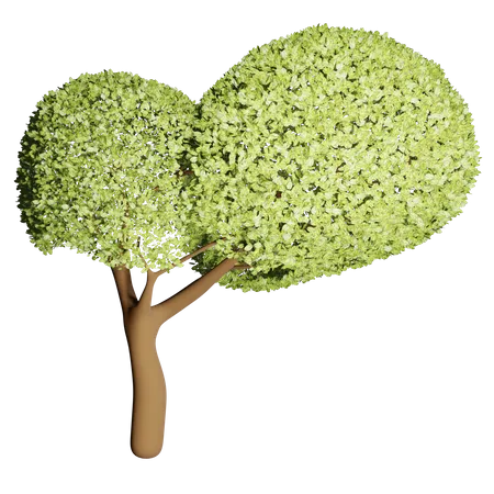 Fruchtbarer Baum  3D Icon