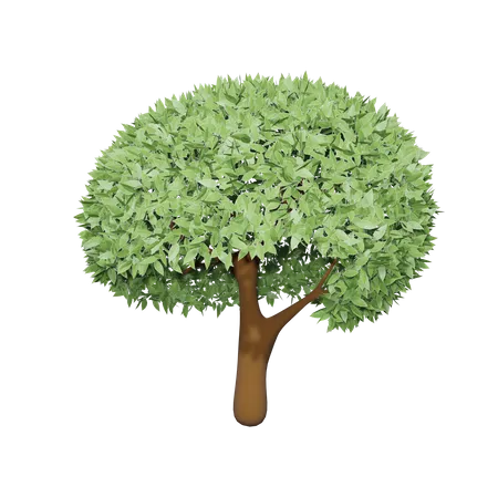 Fruchtbarer Baum  3D Icon