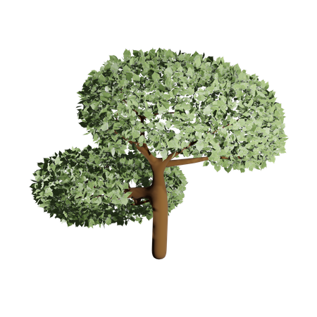 Fruchtbarer Baum  3D Icon