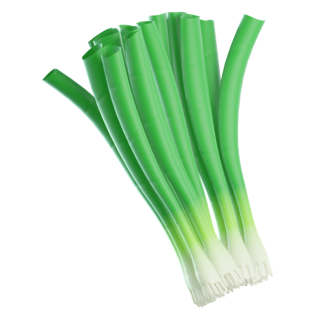 Grüne Zwiebel  3D Icon