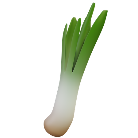 Grüne Zwiebel  3D Illustration