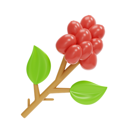 Fruta café  3D Icon