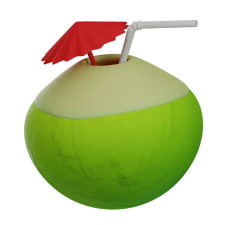 Fruta de coco  3D Illustration