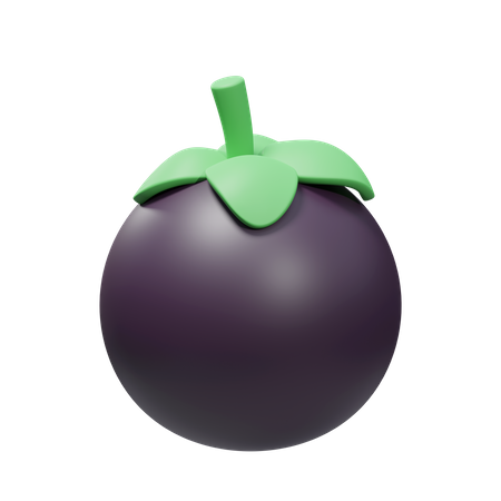 Fruta de mangostán  3D Illustration