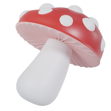 Fungi  3D Icon