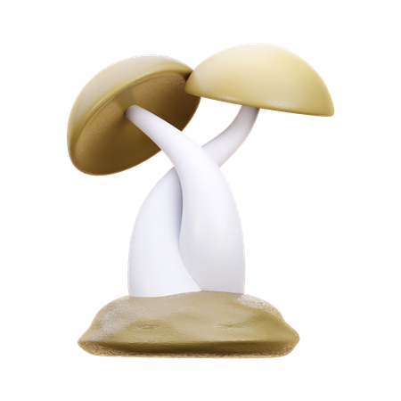 菌類  3D Icon