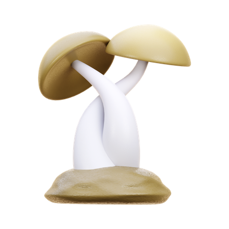 Fungus  3D Icon
