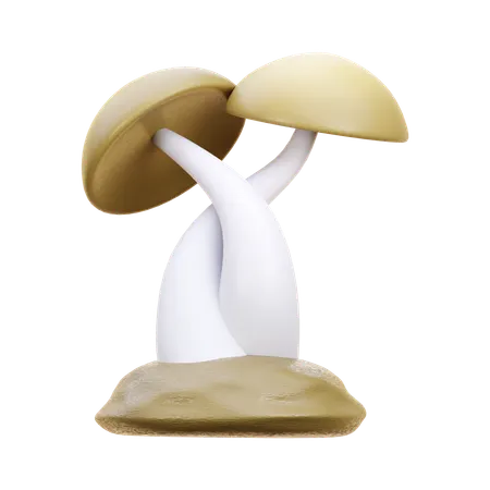 Fungus  3D Icon