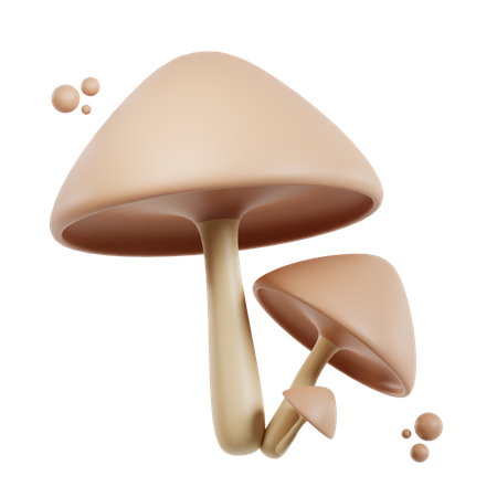 Fungus  3D Icon