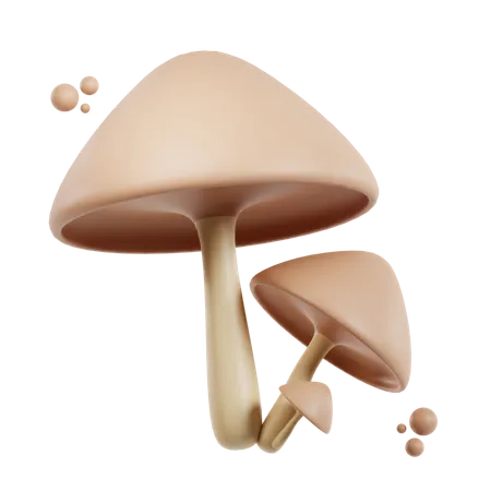 Fungus  3D Icon