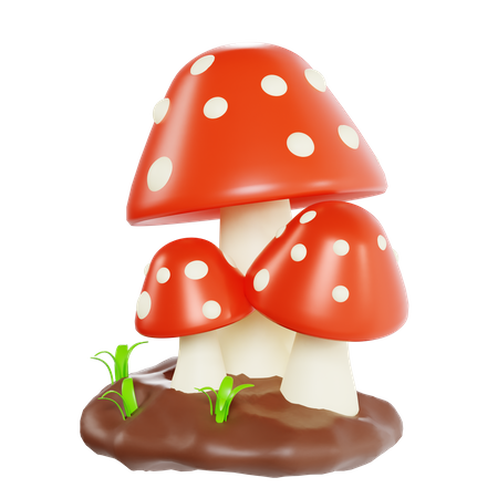 Fungus  3D Icon