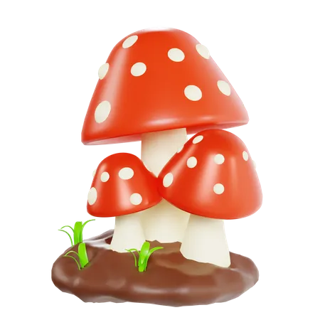 Fungus  3D Icon