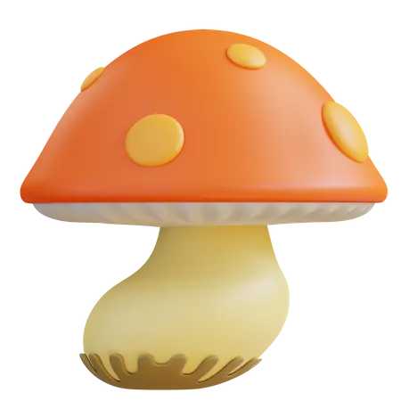 Funky Mushroom  3D Icon